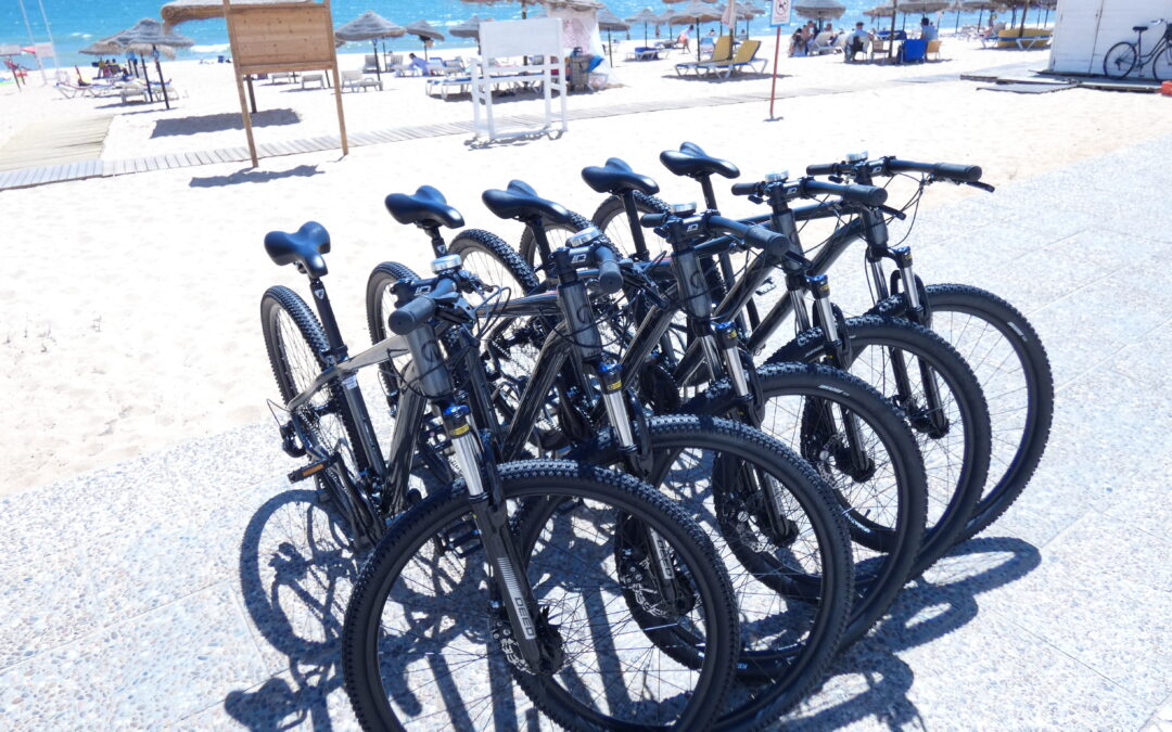 World Bike Day