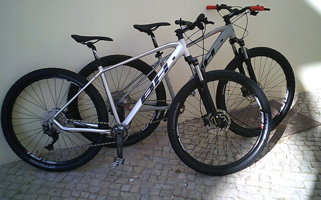 Rent a bike and live longer (fact)